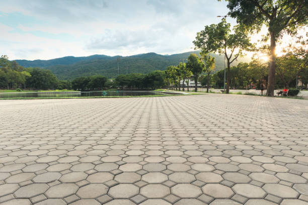 Best Affordable Driveway Pavers  in Camp Swift, TX